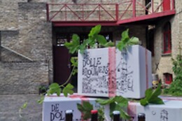 De Dolle Brouwers