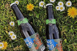 De Dolle Brouwers