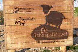 De Schaapsheuvel