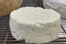 La Chalotterie