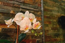 Sukkee Thai SPA