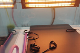 Le Loft Secrets of Shai