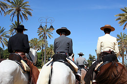 CENTRO HÍPICO DA SOBREDA