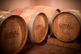 CELLER RONADELLES