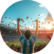 Voetbalwedstrijden, stadiontours...