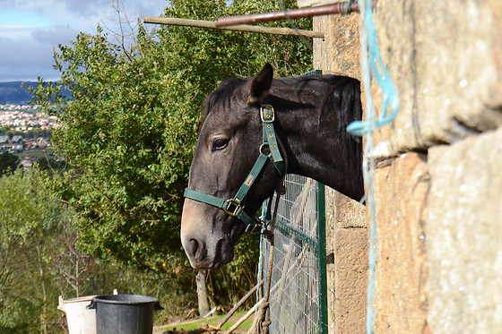 Quinta da Mata - photo 6
