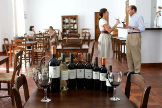 BODEGA VALDEALTO - photo 12