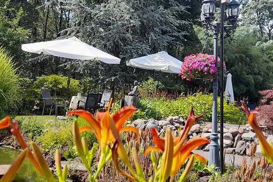Jorine's theetuin - photo 0
