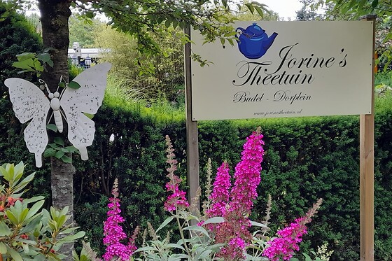Jorine's theetuin - photo 1