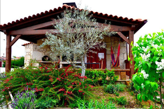 Carya Tallaya - photo 0