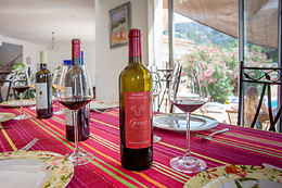 Domaine Vents du Sud