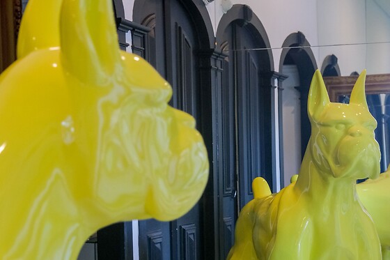RM The Hotel Experience - photo 7