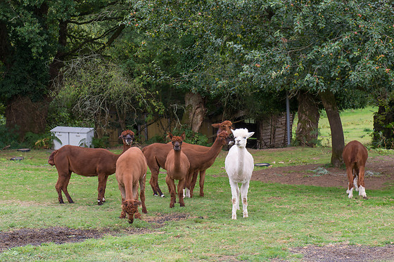 Vallée de Pratmeur - photo 7