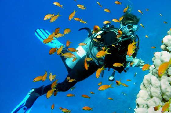 SOTACERO DIVING - photo 5