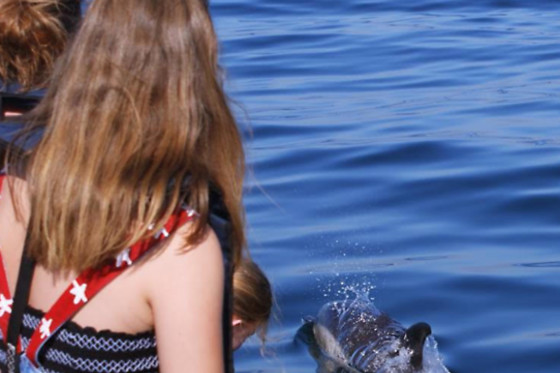 Seadolphins - photo 5