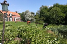 Aan de groene Zoom