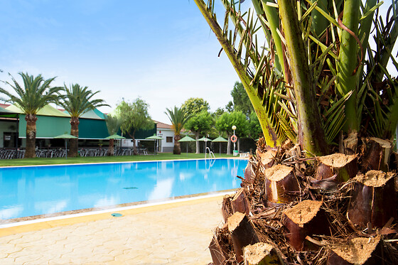 CAMPING CARLOS III - photo 4