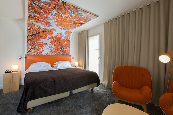 Le Manoir du Lys - photo 11