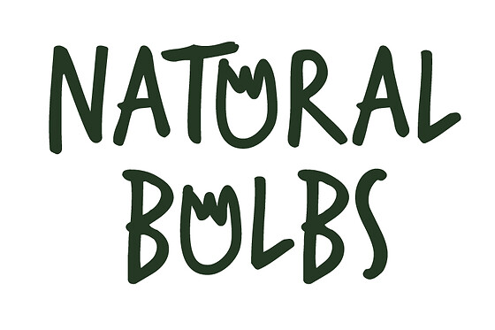 Natural Bulbs - photo 0