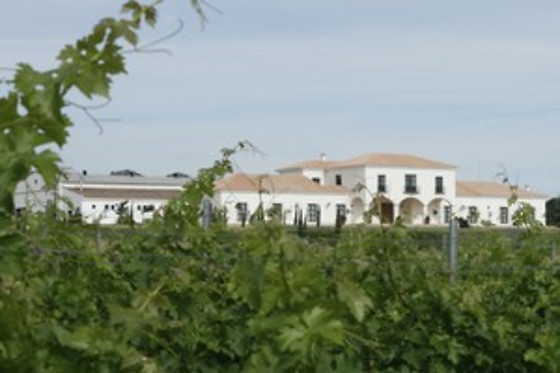 BODEGA VALDEALTO - photo 5