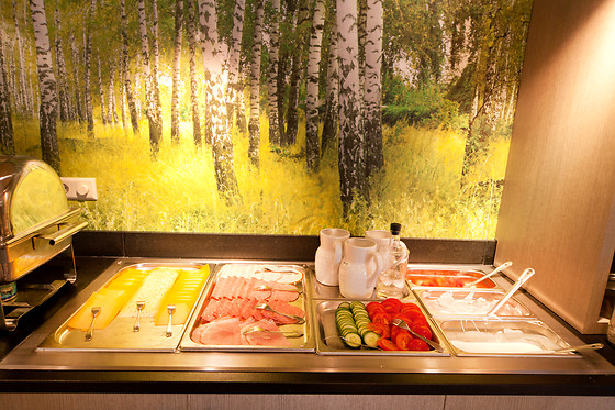Fletcher Hotel-Restaurant Het Veluwse Bos (HOTEL) - photo 4