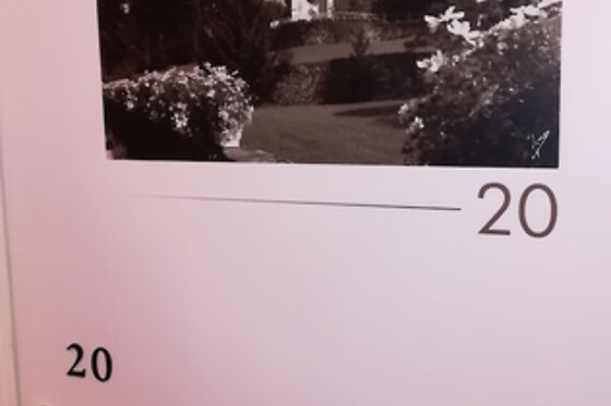 Online Booking EPS - photo 7