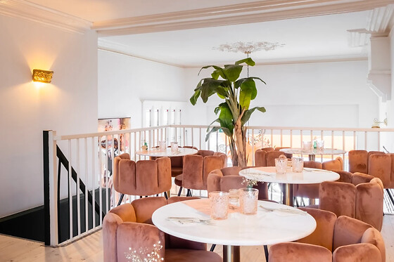 Peach Breda - photo 1
