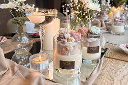 Noé Collections