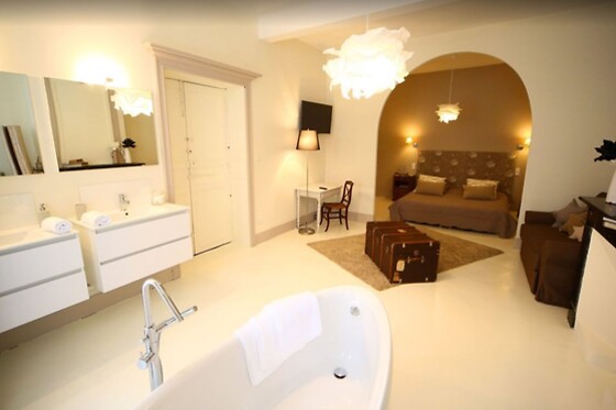 Hôtel particulier Delga - photo 5