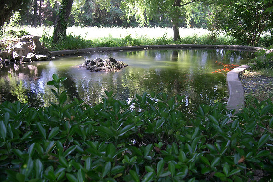 Embarben - photo 6