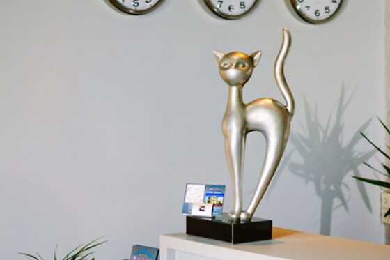 Online Booking EPS - photo 4