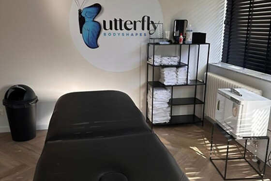 Butterflybodyshapes - photo 3