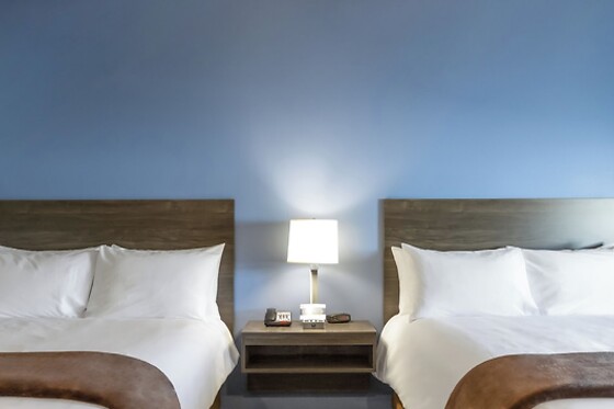 Online Booking EPS - photo 2