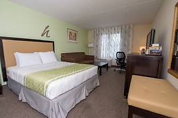 Online Booking EPS