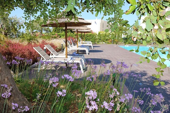 Online Booking EPS - photo 3