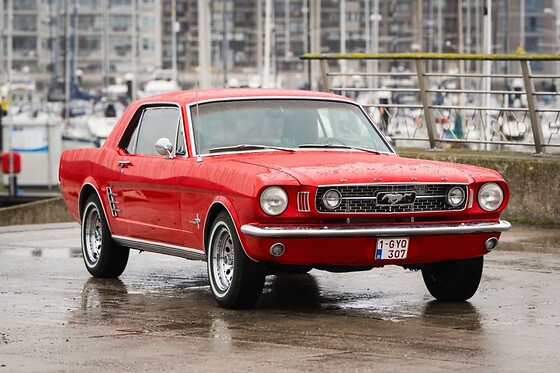 Classicrides - photo 1