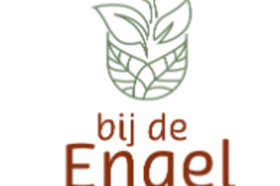 Bij de Engel - photo 6