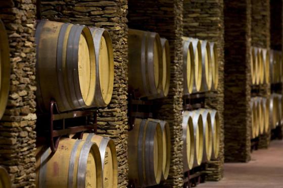 HERDADE DOS GROUS - photo 4