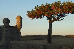 Casa do Ti Messias