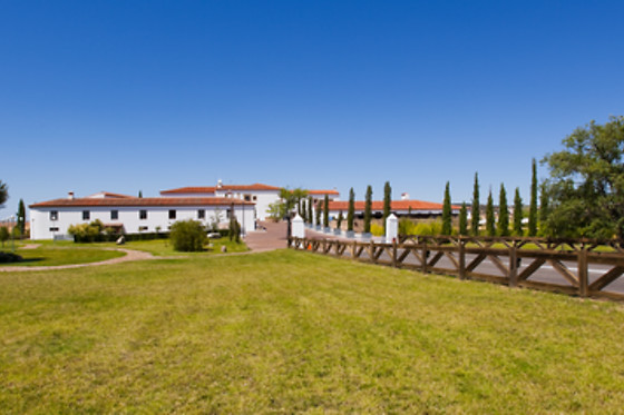 HOTEL PALACIO DE ARENALES & SPA - photo 24