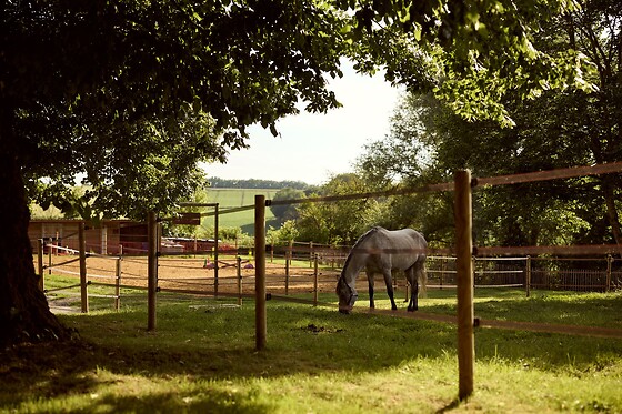 La Ferme de Jeanne - photo 4