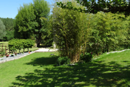 Le Moulin de Reigner