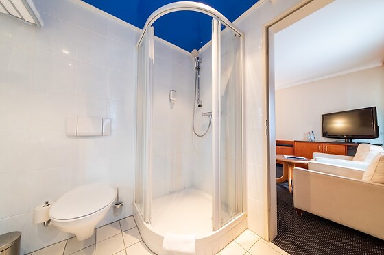 Koener Hotel - photo 16
