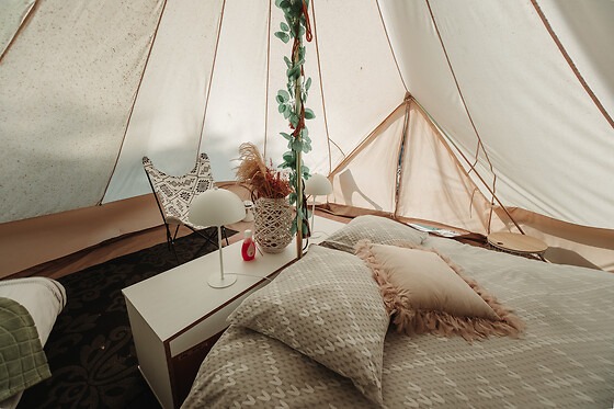De Witte Merel & Hotel at home - photo 9
