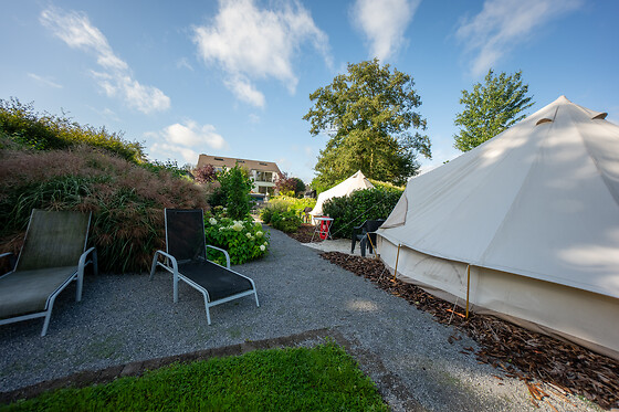 De Witte Merel & Hotel at home - photo 7