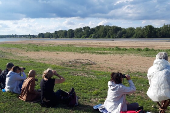 Plume de nature - photo 2