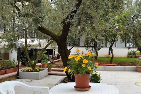 Online Booking EPS - photo 0