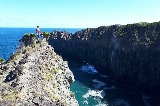 Azores Nature Tours - photo 29