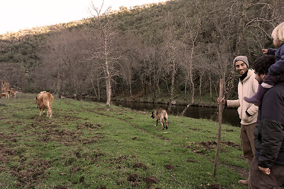 Beir'Aja - photo 5