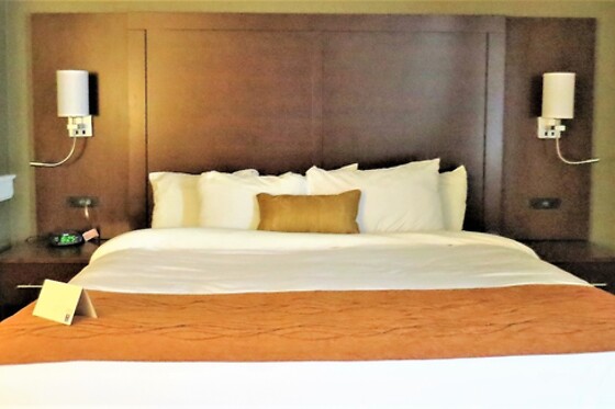 Online Booking EPS - photo 2